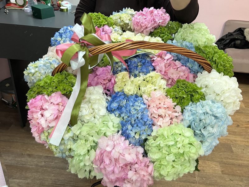 Огромная корзина из 35 гортензий