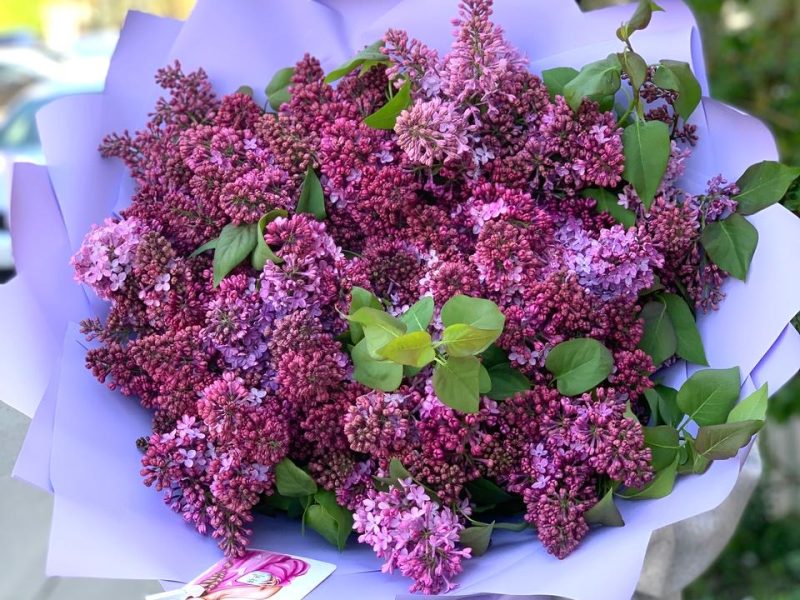 Букет сирени размер М