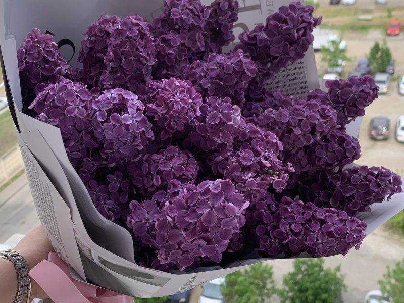 Букет из сирени размер S